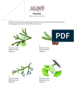 2023 Div B Forestry Test