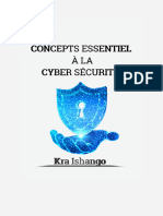 Concepte Cyber Securite