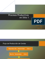 Procesos Productivos Sitio 1