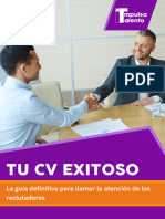 Tu CV Exitoso - IT