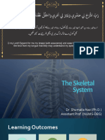 Axial Skeleton (Skull)