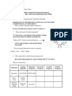 Cellular Respiration Webquest DBBBB