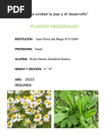 Plantas Medicinales": "Año de La Unidad La Paz y El Desarrollo"