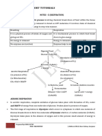 NOTES - X Respiration (28-4-2021)