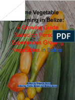 Home Vegetable Gardening in Belize-Updated