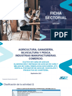 Ficha Sectorial Azucar