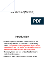 Cell Division