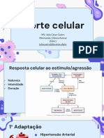 Morte Celular - PATOLOGIA 2024