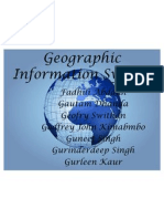 Geographic Information System