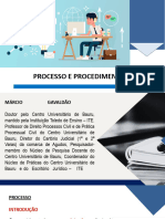 Processo e Procedimento MG FS - 2024