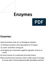 Enzymes New1