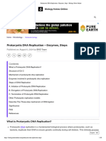 Prokaryotic DNA Replication - Enzymes, Steps - Biology Notes Online