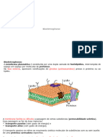 Bioeletrogênese