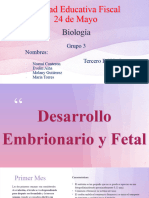 Desarrollo Embrionario y Fetal Grupo Tres