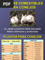 Plantas Comestibles para Conejos