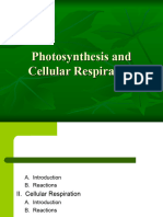 Photosynthesis and Cellular Respiration Post