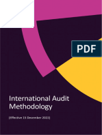 International Audit Methodology