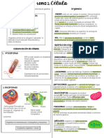 Intensivo Bio