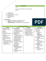 Summary Anatomy of Large Intestine