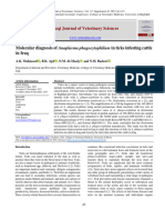 Molecular Diagnosis of Anaplasma Phagocytophilum in Ticks Infesting Cattle in Iraq