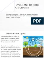 Carbon Cycle and Its Role in Climate Change