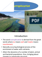 Eutrophication