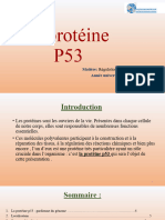 Protéine p53