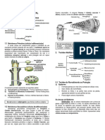 14.histologia Vegetal Parte 02