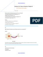 Cell - Structure and Functions