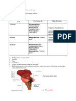 Structure of The Vertebrate Nervous System