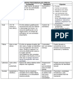 Evaluación Del Desarrollo