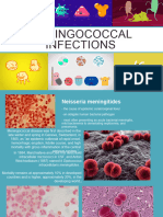 Gram Negative Infections 2