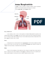 Sistemarespiratrio 150522182712 Lva1 App6892