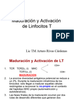 Maduración LT