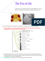 Chapter #2 The Tree of Life