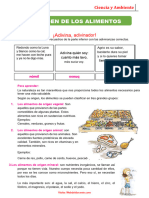 Origen de Los Alimentos para Segundo Grado de Primaria