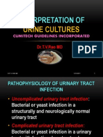 Interpretation of Urine Cultures