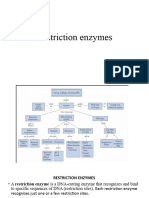 Lecture 10 Restriction Enzymes