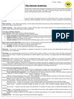 L1 Overview-of-the-Human-Anatomy PRELIMS