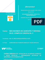 Diapositivas S13 - Alteración de Los Nervios Craneales y Dolor Orofacial - 2024-1