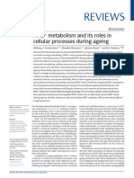 NAD+ Metabolism and Its Roles in Cellular Processes During Ageing