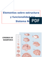 1 Elementos Sobre Estructura y Funcionalidad Del SN