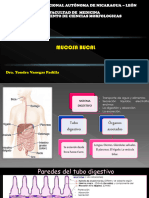 Mucosa Bucal