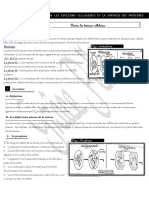 Division Cellulaire Cours 2024pdf