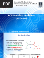 Aminoacidos, Peptidos, Proteinas y Enzimas