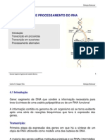 Transcrição e Processamento Do Rna