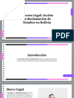 Proceso Legal Accion de Reclamacion de Nombre en Bolivia