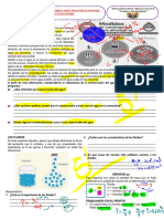 Actividad Presion Hidrostatica - Eda 4 - 5C