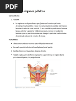 Prolapso Genital (Ginecología) - 1