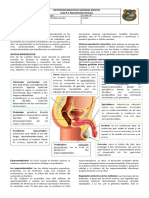 Guia # 3. Reproduccion Humana